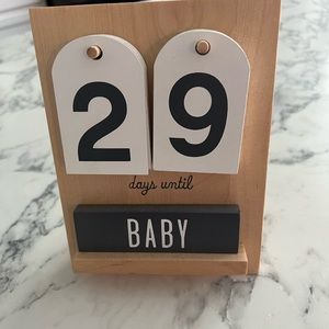 Countdown to Baby or Grandbaby Pregnancy Counter
